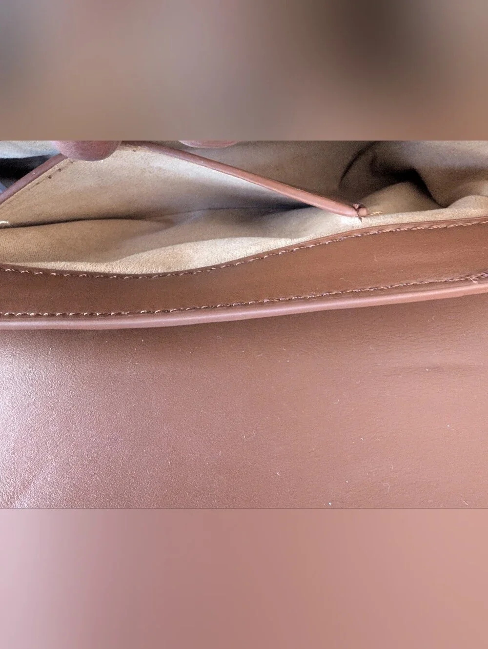 ZARA Crossbody Bag with Gold Buckle
